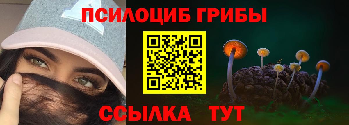 Рославль  Псилоцибиновые грибы прущие грибы  Вход с VPN  Галлюциногенные грибы Psilocybe 